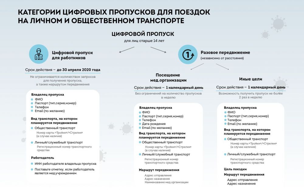 ⚡ Как получить цифровой пропуск для поездок по Москве и Московской области?
