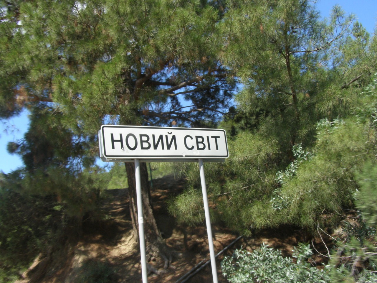 Отдых в Крыму. Новый Свет. Отдых в Крыму. Новый Свет.
