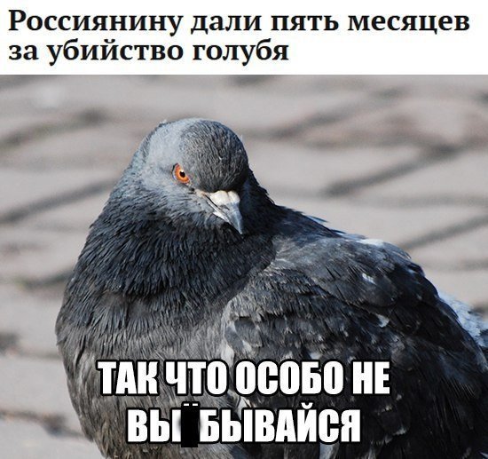 Новая партия искрометных приколов для надрыва животов Новая партия искрометных приколов для надрыва животов