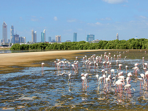 Фото автора. Фото автора.