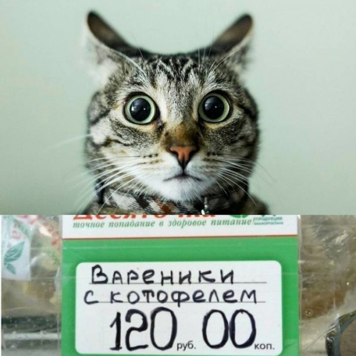 Загонные названия продуктов