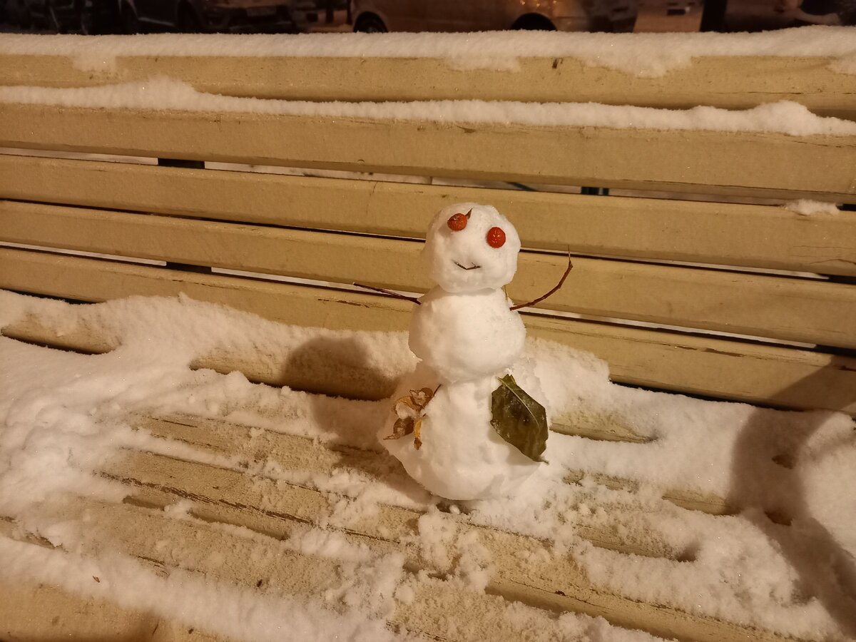Первый снеговик этой зимы. Фото автора.