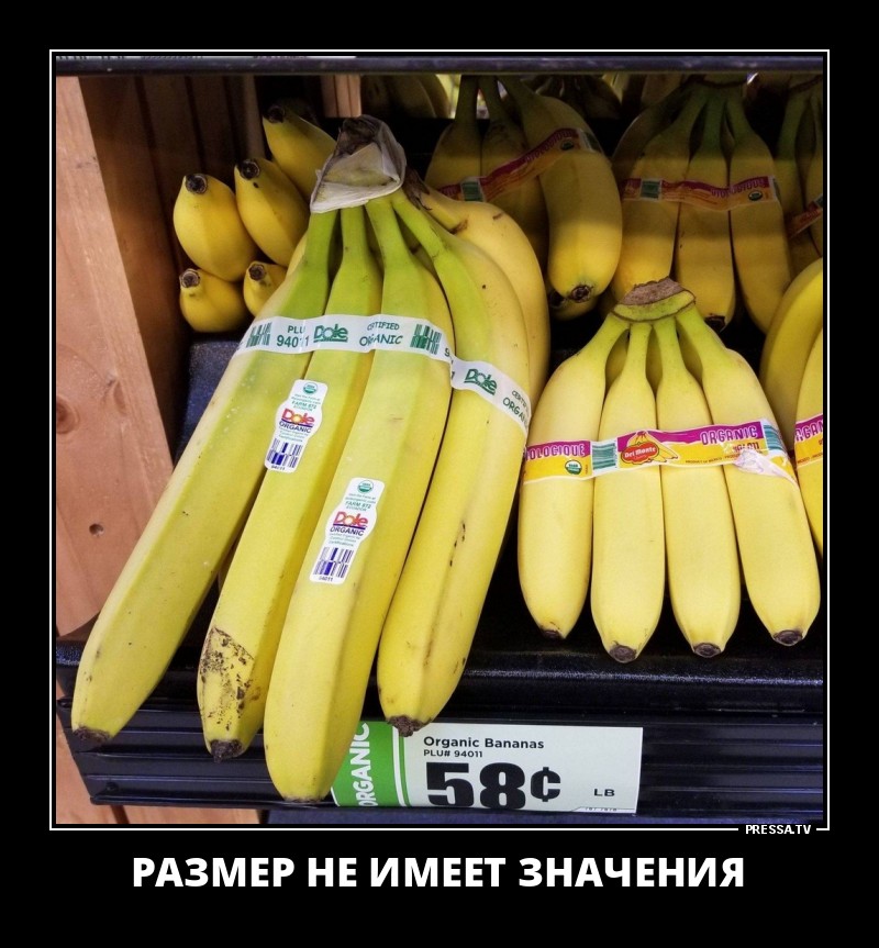 демотиваторы + демотиваторы +