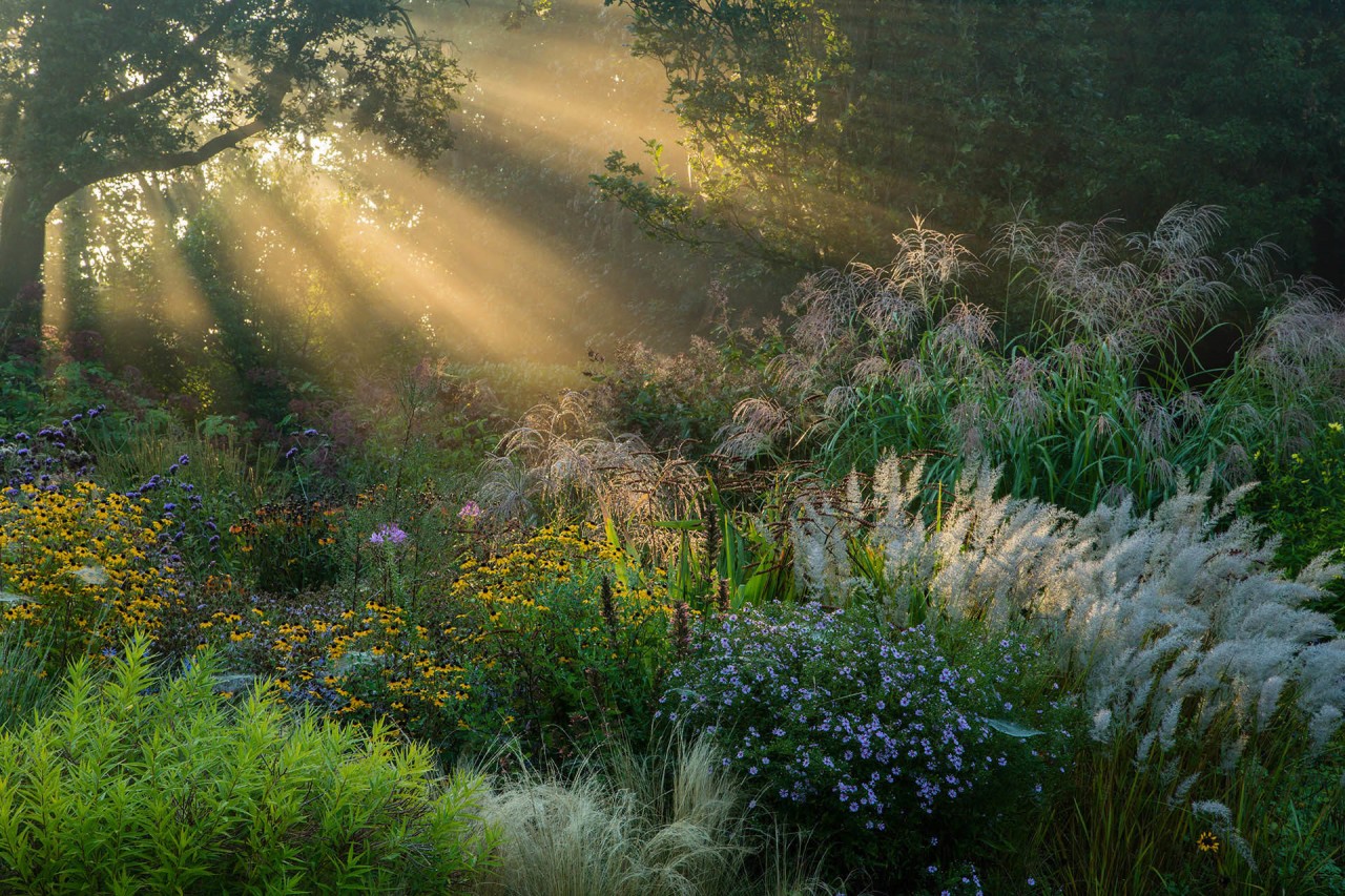 Лучший садово-парковый фотограф в конкурсе International Garden Photographer of the Year 2018