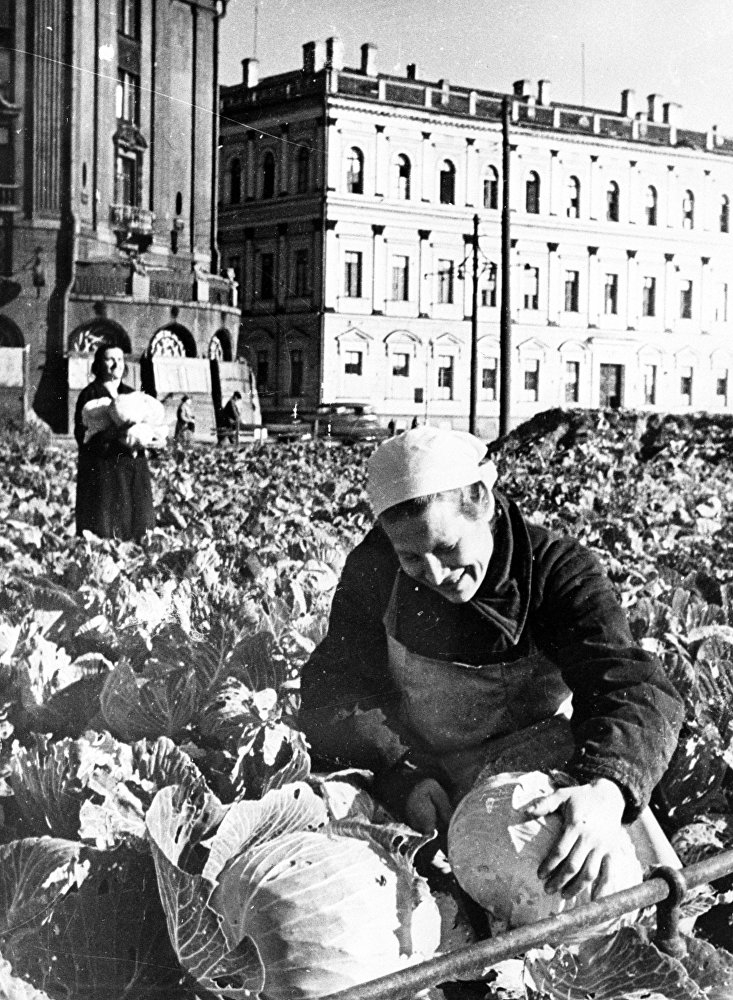 ÐгоÑод на ÐÑаакиевÑкой плоÑади