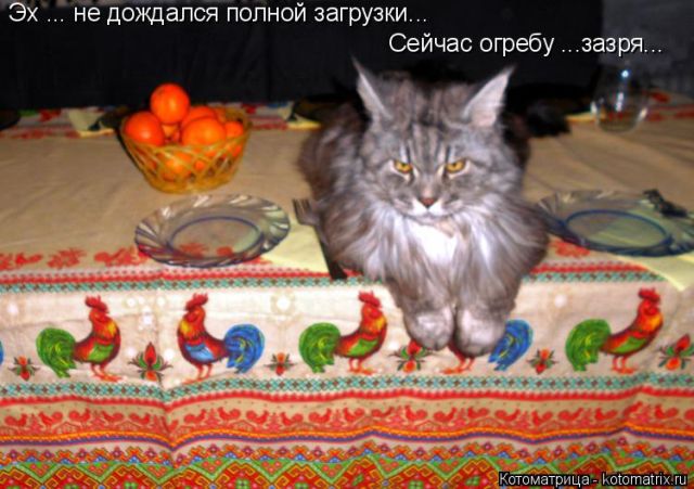 Котоматрицы великолепные, каждая с кусочком тепла, позитива и улыбкой!!! Всем добрых событий сегодня!!! Котоматрицы великолепные, каждая с кусочком тепла, позитива и улыбкой!!! Всем добрых событий сегодня!!!