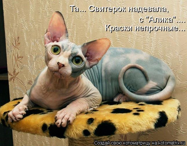 kotomatritsa_I (3) (645x502, 245Kb)