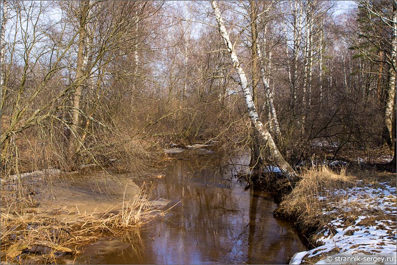 Весенний день весенняя река