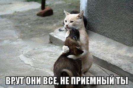 Итак…. в одном лесу Итак…. в одном лесу