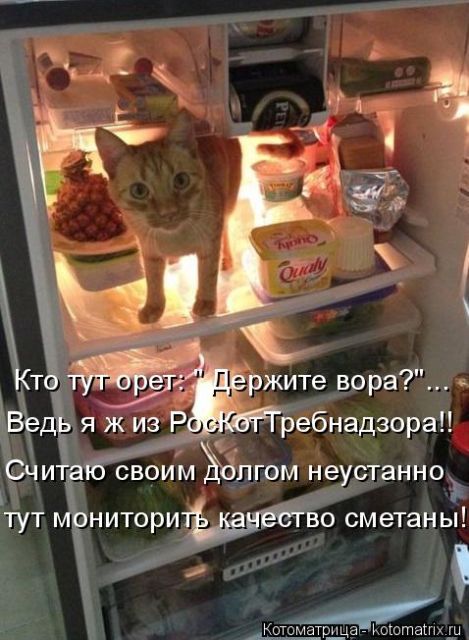 Котоматрицы великолепные, каждая с кусочком тепла, позитива и улыбкой!!! Всем добрых событий сегодня!!! Котоматрицы великолепные, каждая с кусочком тепла, позитива и улыбкой!!! Всем добрых событий сегодня!!!