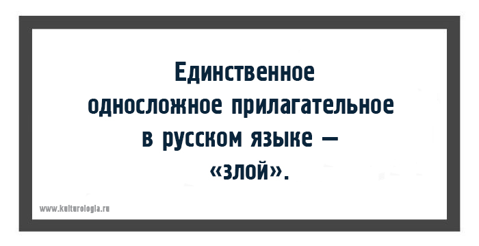 Интересные факты о русском языке