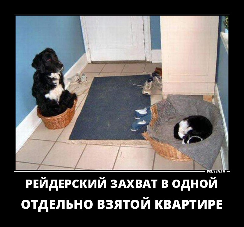 Демотиваторы отличной подборочкой для зарядки позитивом на весь день! Демотиваторы отличной подборочкой для зарядки позитивом на весь день!