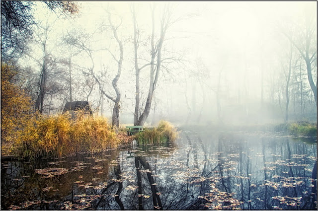 Особое настроение -- туманные пейзажи фотографа Габора Дворника (Gabor Dvornik)