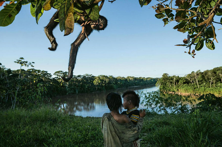 50 лучших фотографий года от National Geographic 28