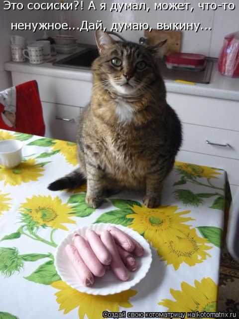Котоматрицы великолепные, каждая с кусочком тепла, позитива и улыбкой!!! Всем добрых событий сегодня!!! Котоматрицы великолепные, каждая с кусочком тепла, позитива и улыбкой!!! Всем добрых событий сегодня!!!