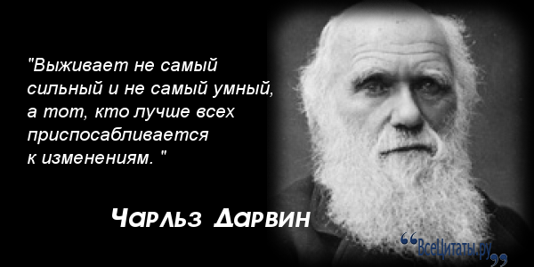 Поговорки о выживании Поговорки о выживании