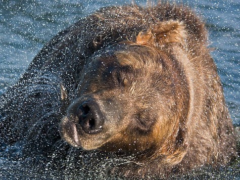 фото: Fotolia.com фото: Fotolia.com