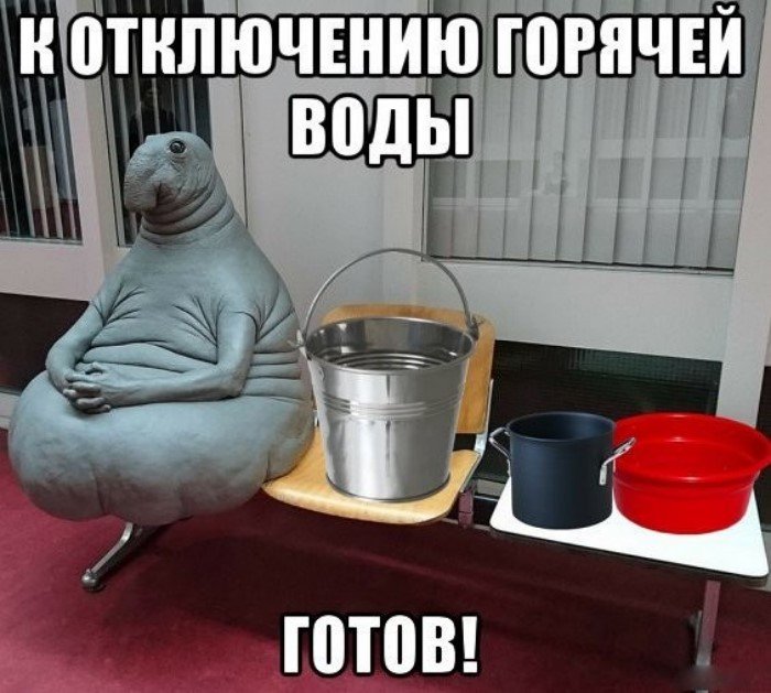 Ежегодная российская традиция, которую все ненавидят Ежегодная российская традиция, которую все ненавидят