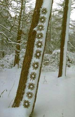 7. Tim Pugh изобразил снежные выстрелы времена года, зима, зимний ленд-арт, красиво, фото, художник