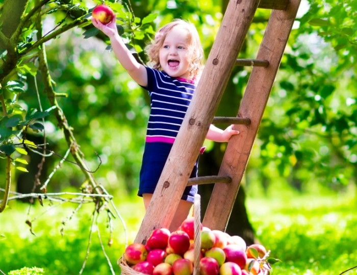 9b9fec8e15b5a7d 700x539 Ребенок в саду   Child in the garden