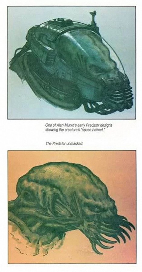 119 119