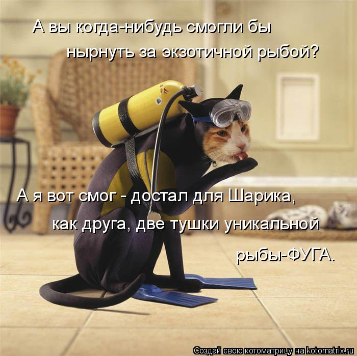 kotomatritsa_n_ (700x699, 310Kb)