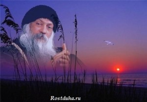soveti_mudretov