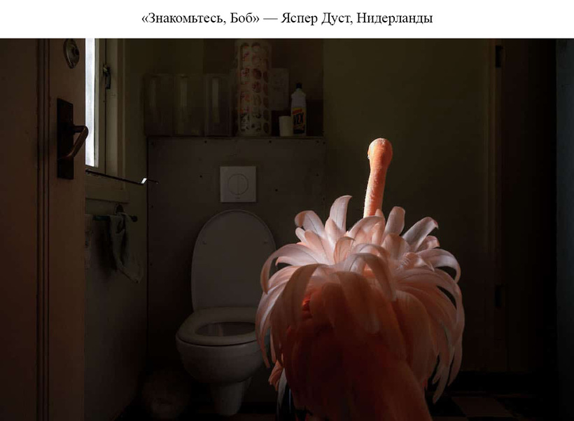 Блог - Представлены потрясающие победители конкурса Sony World Photography Awards 2019 Представлены потрясающие победители конкурса Sony World Photography Awards 2019