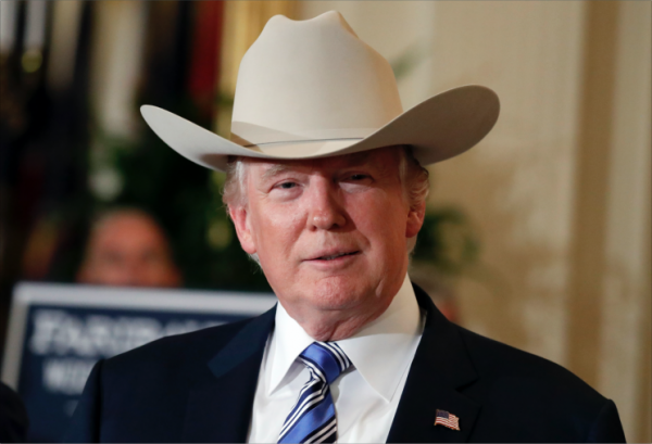 Статусные шляпы Дональда Трампа, влючая Золотую Каску и Шутовской Колпак