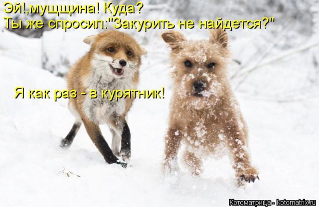 Котоматрицы великолепные, каждая с кусочком тепла, позитива и улыбкой!!! Всем добрых событий сегодня!!! Котоматрицы великолепные, каждая с кусочком тепла, позитива и улыбкой!!! Всем добрых событий сегодня!!!
