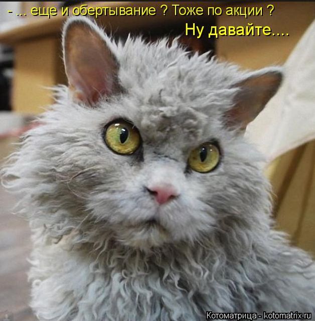 Котоматрицы великолепные, каждая с кусочком тепла, позитива и улыбкой!!! Всем добрых событий сегодня!!! Котоматрицы великолепные, каждая с кусочком тепла, позитива и улыбкой!!! Всем добрых событий сегодня!!!