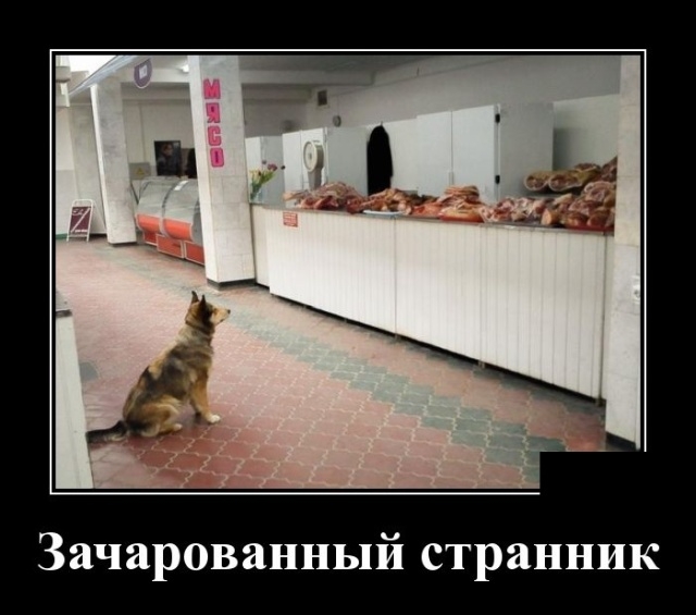 Демотиваторы Демотиваторы