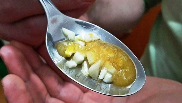 Чеснок с медом — эффективное средство борьбы с простудой