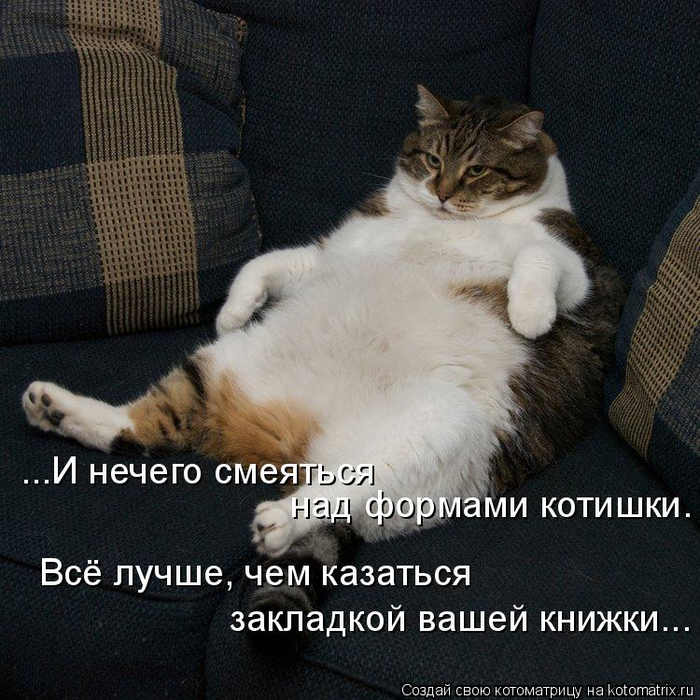 kotomatritsa_d (700x700, 484Kb)