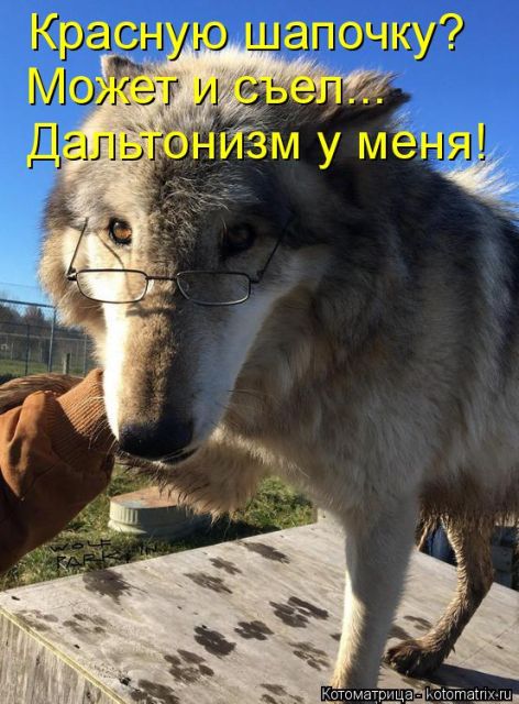 Котоматрицы великолепные, каждая с кусочком тепла, позитива и улыбкой!!! Всем добрых событий сегодня!!! Котоматрицы великолепные, каждая с кусочком тепла, позитива и улыбкой!!! Всем добрых событий сегодня!!!