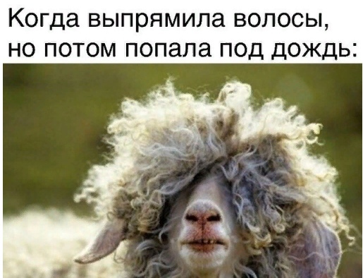 3416556_aRgOQjCnpY_1_ (515x394, 84Kb)