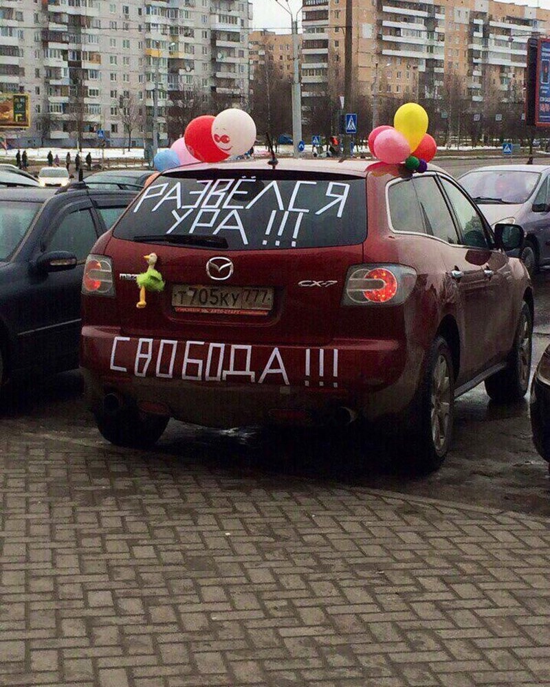 Первые несколько недель поле развода люди пребывают в состоянии полнейшей эйфории Первые несколько недель поле развода люди пребывают в состоянии полнейшей эйфории бывшая, бывший, жена, муж, прикол, развод, свадьба, юмор