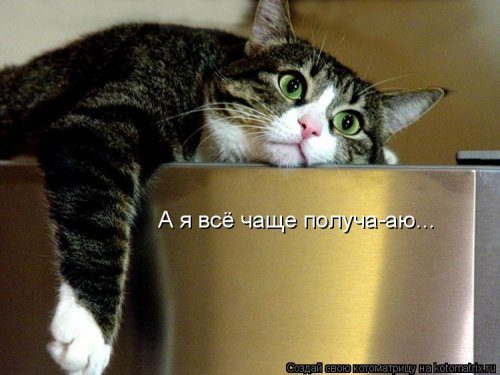 Самая убойная котоматрица Самая убойная котоматрица