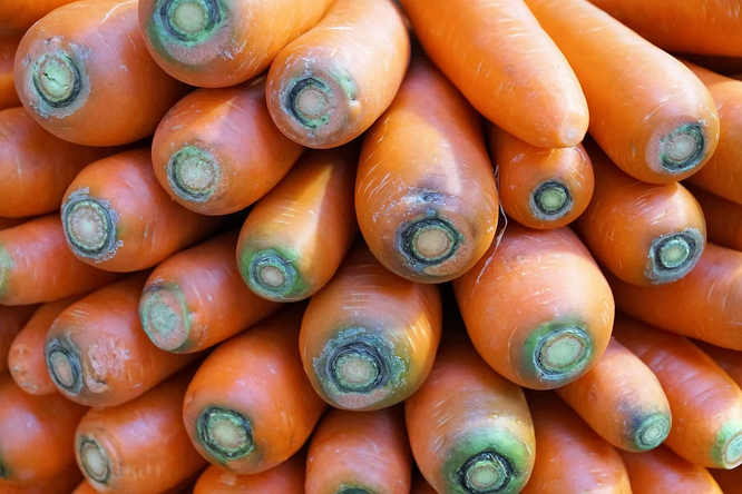 Лучшие сорта для хранения моркови в домашних условиях