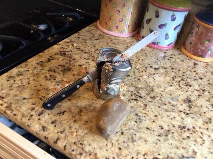 Еда любой ценой. Еда любой ценой.