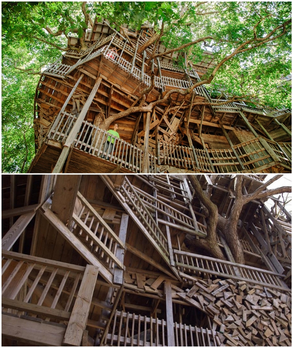 Множество переходов, террас и балконов соединяют уровни «небоскреба» на дереве. Множество переходов, террас и балконов соединяют уровни «небоскреба» на дереве.