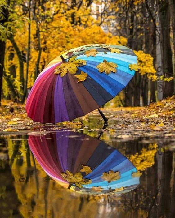 Подборка фотографий о золотой осени.