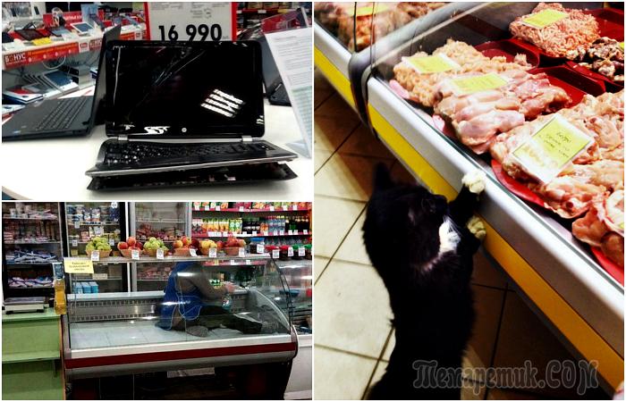 19 смешных ситуаций из супермаркетов, свидетелями которых стали простые покупатели
