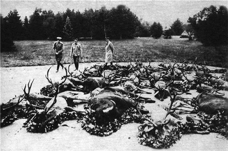 Николай II и его татуировки Николай II и его татуировки