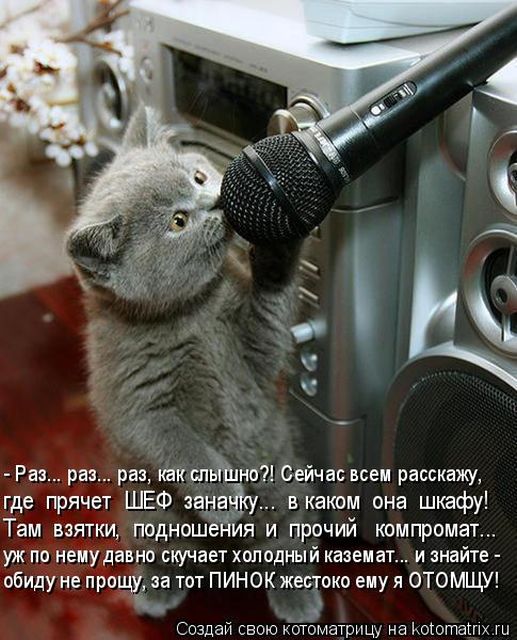 Котоматрицы великолепные, каждая с кусочком тепла, позитива и улыбкой!!! Всем добрых событий сегодня!!! Котоматрицы великолепные, каждая с кусочком тепла, позитива и улыбкой!!! Всем добрых событий сегодня!!!