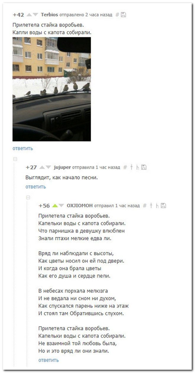 Качественный юмор из социальных сетей