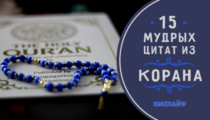 15 мудрых цитат из Корана