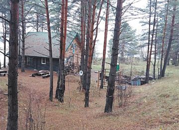 Топор рубит — щепки летят