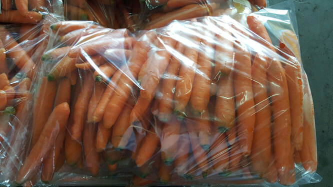 Морковь в полиэтиленовых пакетах