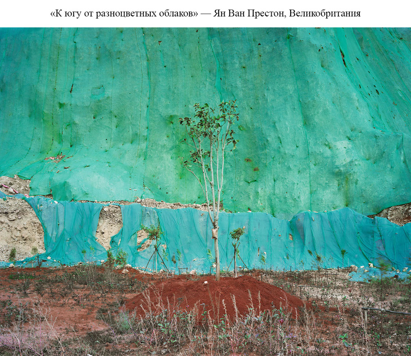Блог - Представлены потрясающие победители конкурса Sony World Photography Awards 2019 Представлены потрясающие победители конкурса Sony World Photography Awards 2019